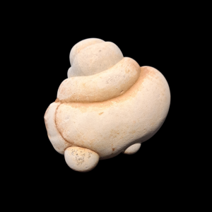 Canadian fairy stone