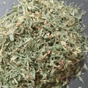 Alfalfa Leaf