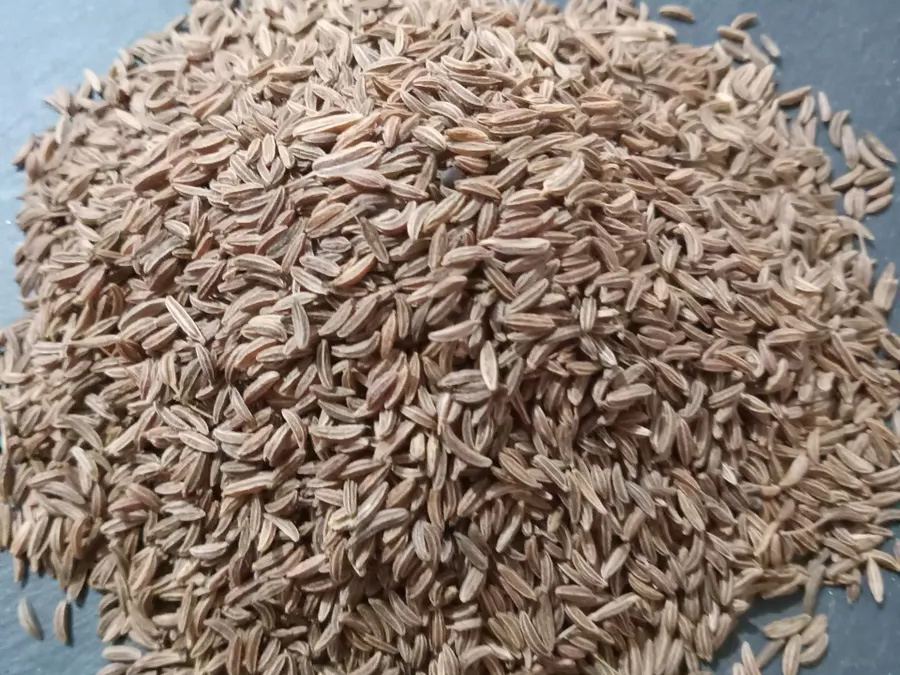Caraway Seed Whole Organic