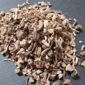 Echinacea