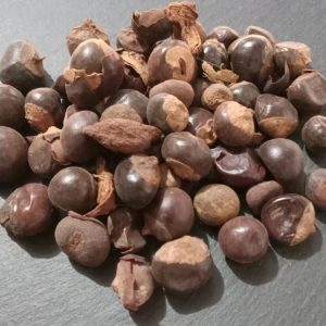 Guarana Seed Whole