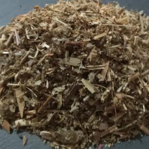 Ladies Mantle Herb