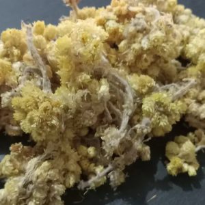 Life Everlasting Flowers Organic