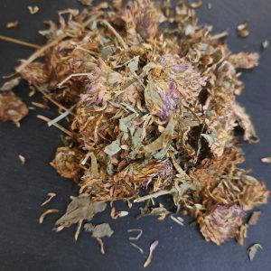 Red Clover
