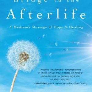 Bridge to the Afterlife