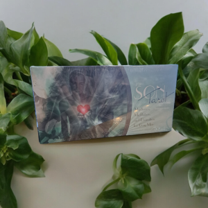 The Son Tarot