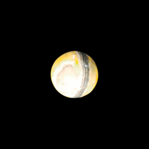 Bumble Bee Jasper