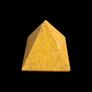 Elephant skin