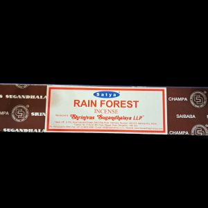 Rain Forest