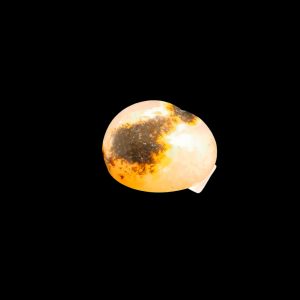 Carnelian