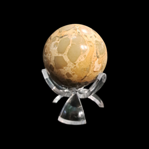Safari Jasper