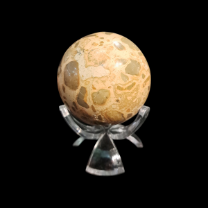 Safari Jasper