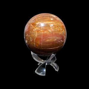 Petrified Wood Sphere